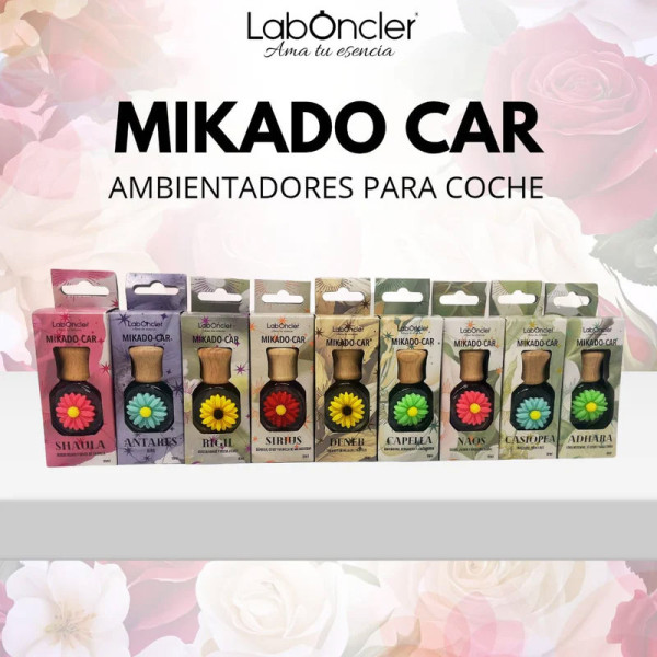 Ambientador de coche